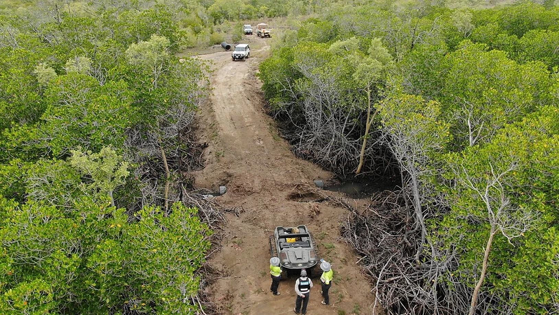 A supplied image obtained on Thursday, March 7, 2024, of A 2km road was illegally cleared through protected national park in north Queensland, Bowling Green Bay National Park, Qld. (AAP Image/Supplied by Qld Department of Environment, Science and…
