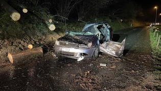 Das Fahrzeug wurde durch die umgestürzten Bäume vollständig demoliert.
